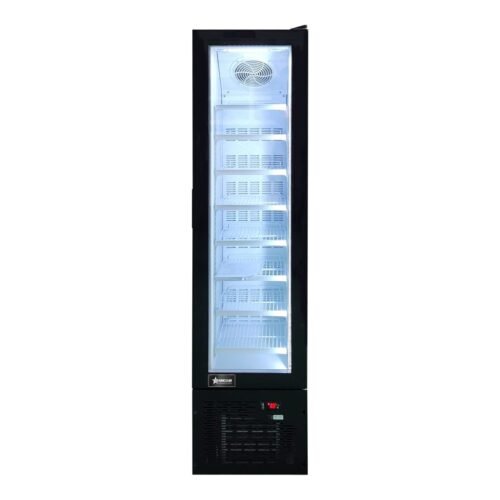 17” Slim Glass-Door Black Display Freezer with 3.7 cu.ft. (105L) Capacity, Stand